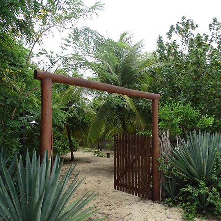 Jungle House Hotel Sao Miguel do Gostoso Ngoại thất bức ảnh