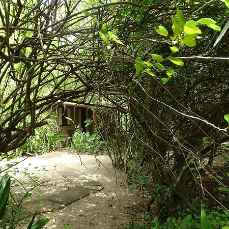 Jungle House Hotel Sao Miguel do Gostoso Ngoại thất bức ảnh