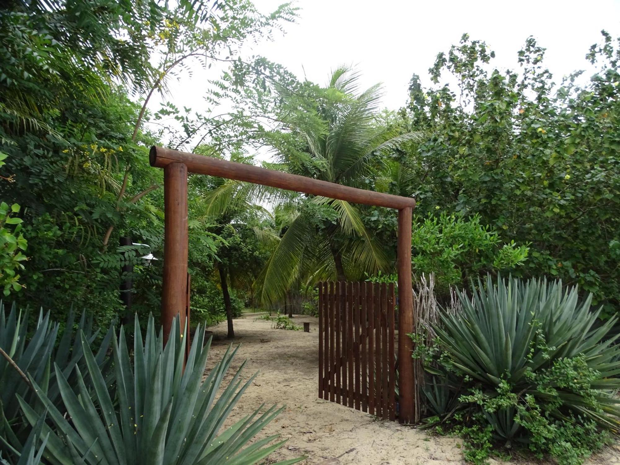 Jungle House Hotel Sao Miguel do Gostoso Ngoại thất bức ảnh
