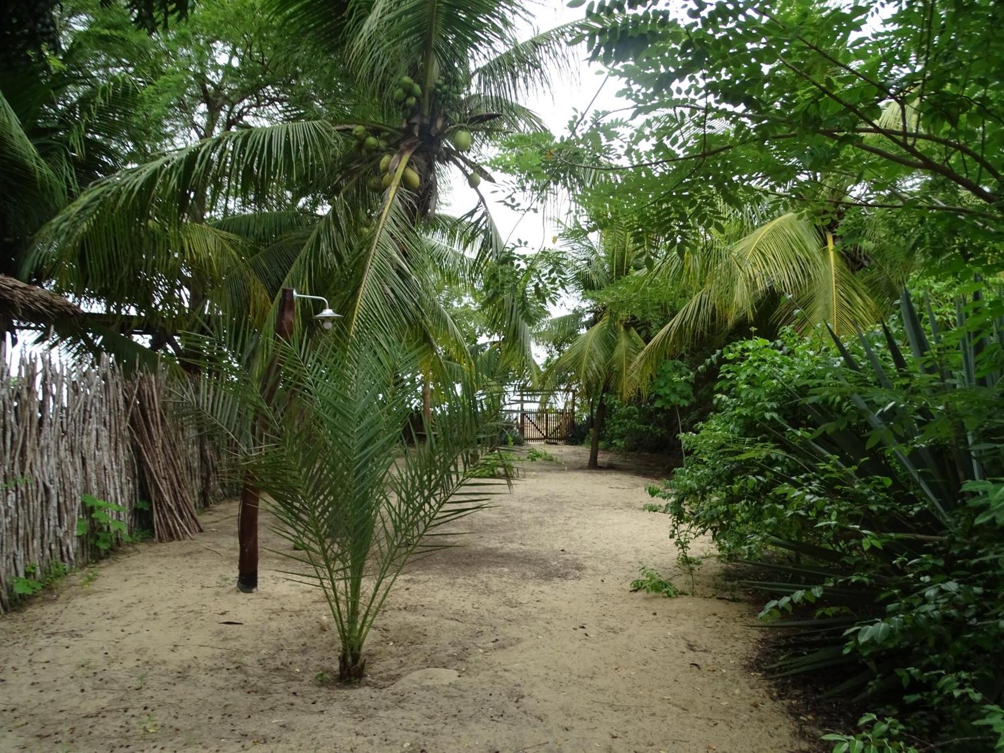 Jungle House Hotel Sao Miguel do Gostoso Ngoại thất bức ảnh