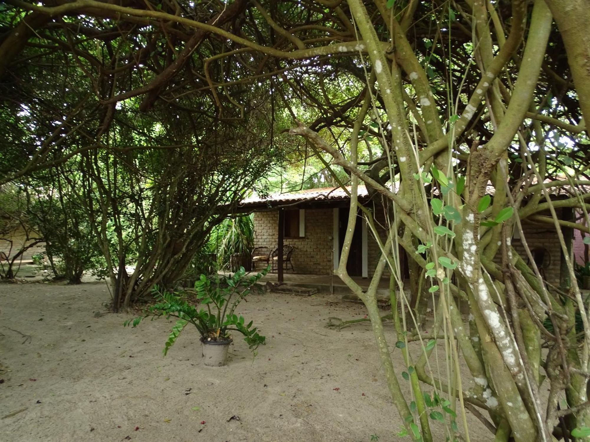 Jungle House Hotel Sao Miguel do Gostoso Ngoại thất bức ảnh