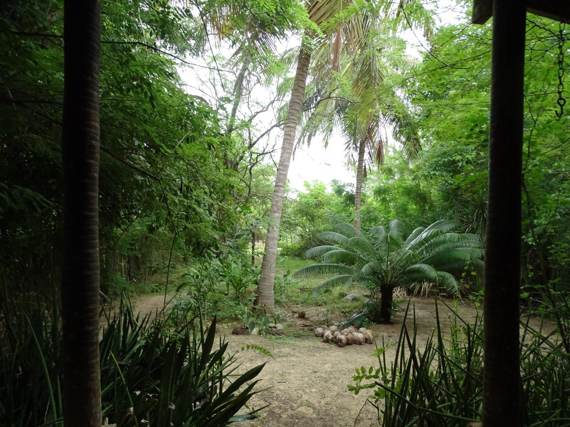 Jungle House Hotel Sao Miguel do Gostoso Ngoại thất bức ảnh